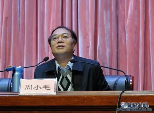 周小毛副院长在文化厅宣讲十八届五中全会精神(图2)