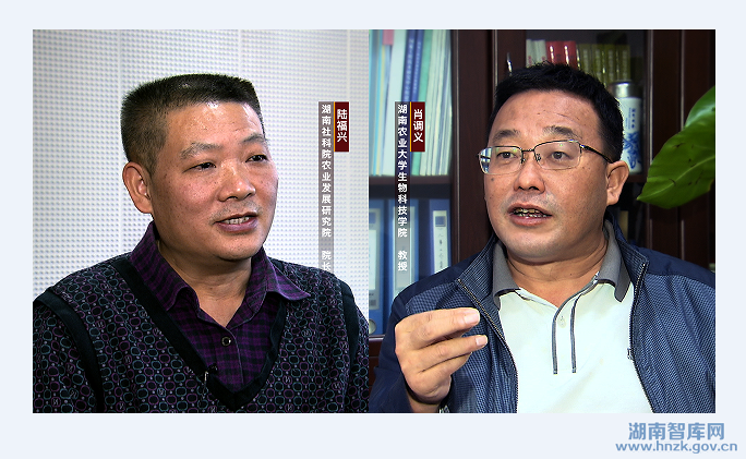 【湖南经视观察】真假难“辨”的东江鱼(图5)