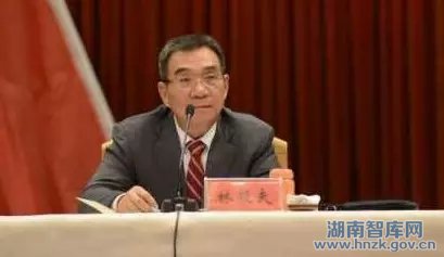 林毅夫长沙开讲:新常态下政府如何抓经济(图1)