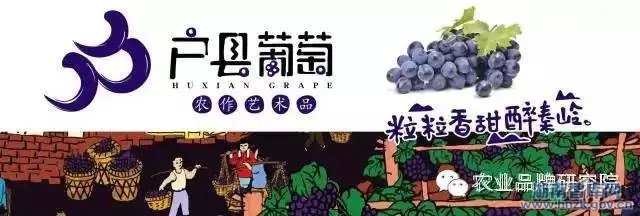 胡晓云:品牌农业拓荒者(图3)