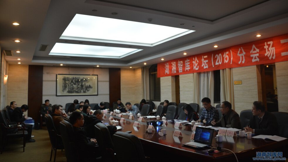 湖湘智库论坛分论坛（二）综述(图1)
