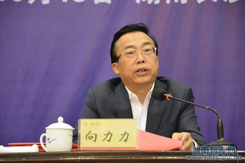 湖南省召开新型智库建设推进会暨湖湘智库论坛(图3)
