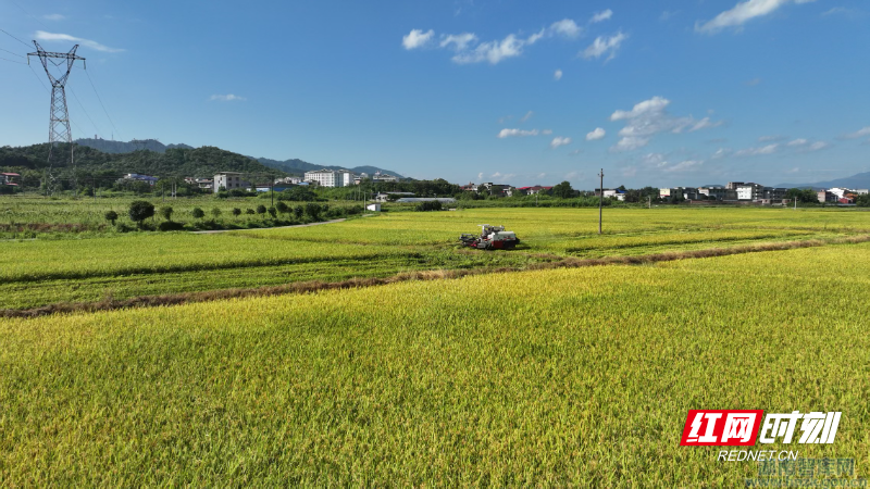 肖卫:丰收节看湖南:一幅农业农村现代化的县域画卷(图2) 2.png