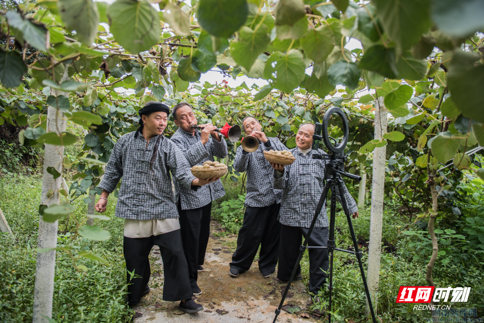 肖卫:丰收节看湖南:一幅农业农村现代化的县域画卷(图11) 11.png