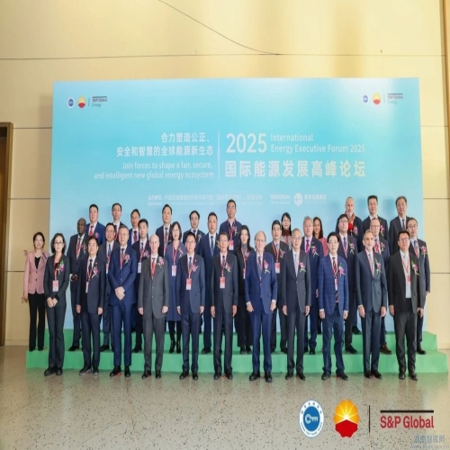 2025国际能源发展高峰论坛在京召开